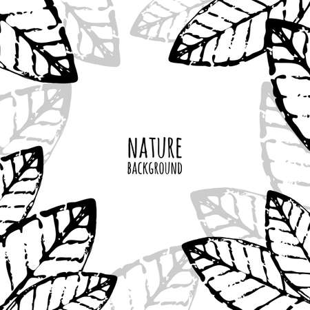 Vector watercolor hand drawn leaves, grunge background. Abstract black and white nature old frame.のイラスト素材