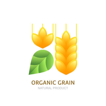 Organic wheat grain icon, label design elements. Cereals and green leaf. Concept for organic products, harvest, grain, bakery, healthy food.のイラスト素材
