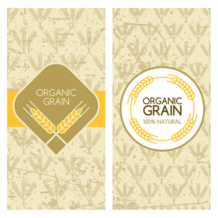 Set of vector grunge backgrounds for banner, label, package template. Wheat grain seamless pattern. Concept for organic products, harvest and farming, grain, bakery, healthy food.のイラスト素材