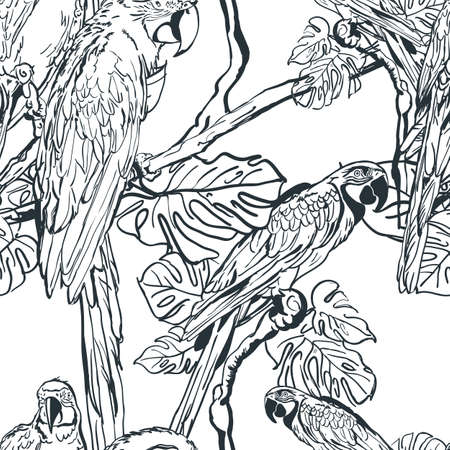 Vector seamless pattern with tropical parrot birds on tree. Hand drawn black and white illustration of jungle. Background with parrots. Design for fashion textile summer print or wrapping.のイラスト素材