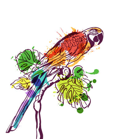 Vector hand drawn watercolor illustration of tropical parrot bird. Isolated colorful parrot on branch with green palm leaves. Design element for fashion print, label, package, background.のイラスト素材