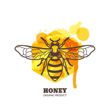 Honey label, emblem, tag design elements. Vector hand drawn outline honeybee on watercolor honeycombs. Bee and liquid honey isolated on white background. Concept for organic farming products package.のイラスト素材