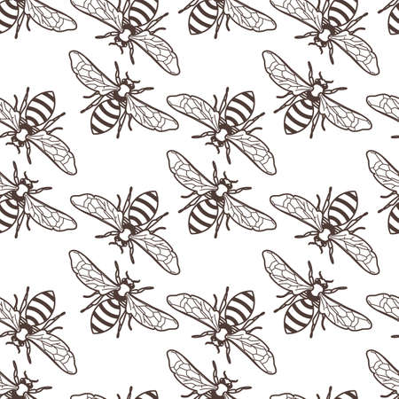 Vector seamless vintage pattern with linear bee. Organic honey background. Concept for honey package design, label, wrapping, fashion prints.のイラスト素材