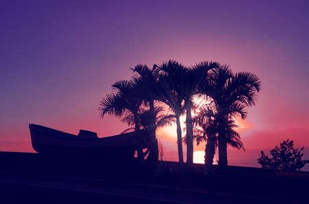 Silhouette of palm trees and boat on the background of a beautiful purple sunset in Los Gigantes. Night landscape background. Tenerife, Canary Islands, Spainの写真素材