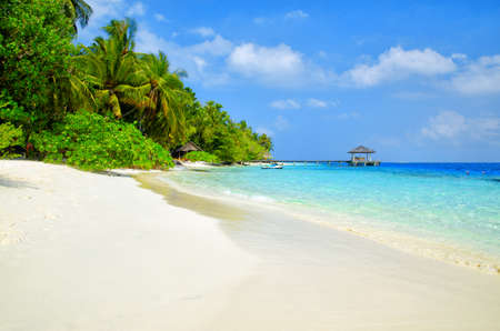 Beautiful white sand tropical beach landscape. Maldives island, Indian Ocean.の写真素材