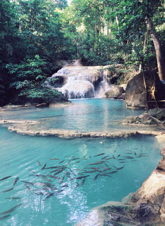 Waterfall in the forest