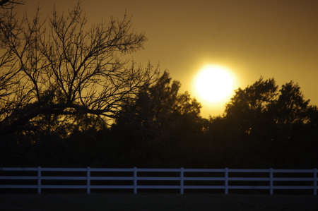 sunset with tree silhouettes and white fence
