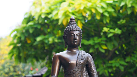 Buddha image in peaceful garden environment.の写真素材