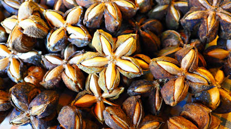 Sacha inchi or Inca nuts. A pile of dried Sacha Inchi nuts. Natural background and texture.の写真素材