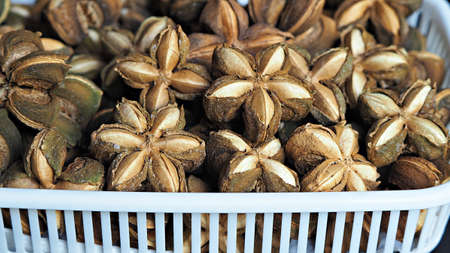 Sacha inchi or Inca nuts in whit basket . A pile of dried Sacha Inchi nuts. Natural background and...