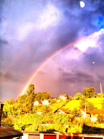 This spring willy raining, but nature not give up の素材