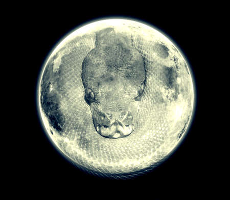 Snake on the moonの素材