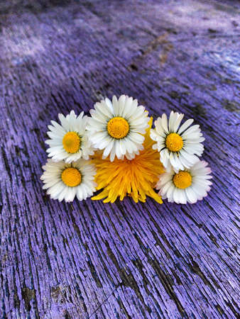 Flowers on wooden tableの素材