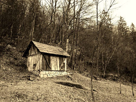 Cabin in wildの素材