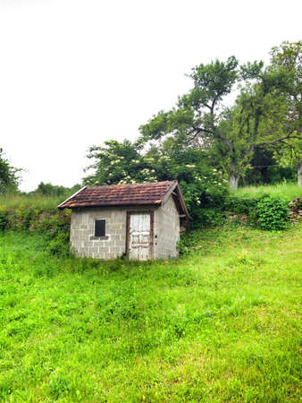 Cabin in wildの素材
