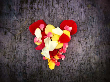 Geart rousesの素材