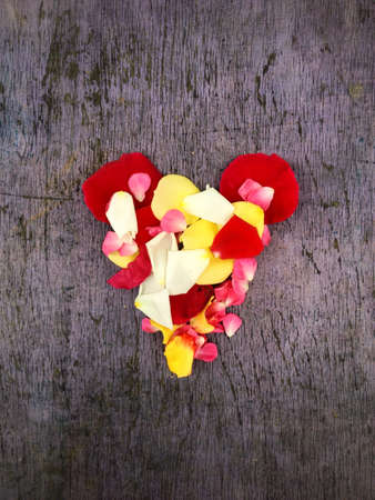 Geart rousesの素材