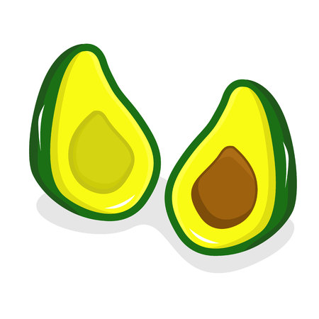 Avocado Illustration Full Color Isolated on White Background . Avocado Flat Design with More Detailのイラスト素材