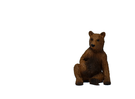 Bear on a white background. Brown bear isolated on white background. Sitting bear imageの写真素材