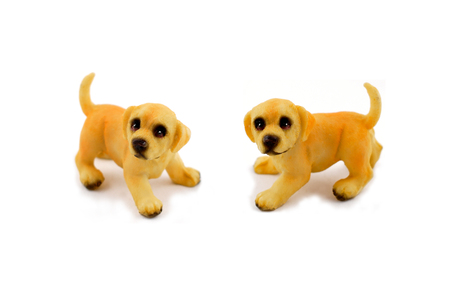 Puppy stock images. Retriever puppy on a white backgroundの写真素材