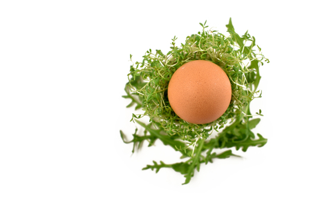 Easter eggs decoration stock images. Spring floral decoration. Spring decoration on a white background. Easter egg with cressの写真素材