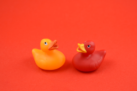 Rubber duck stock images. Toy rubber duck isolated on a red background. Red and yellow rubber duckの写真素材