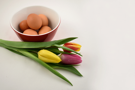 Colorful tulips with Easter Eggs stock images. Easter decoration on a white background. Spring decoration images. Bouquet of colorful tulipsの写真素材