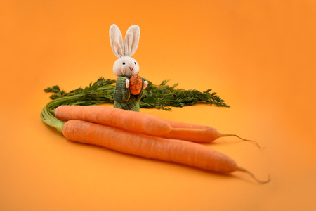 Easter Bunny with Carrot stock images. White rabbit toy. Easter bunny on a orange background. Easter rabbit with egg. Spring decoration images. Easter concept. Bunny with Carrotの写真素材