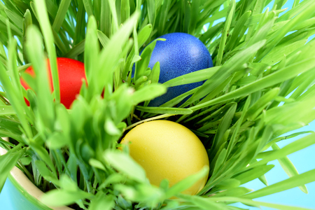 Colorful Easter eggs in the grass stock images. Easter decoration photo. Spring decoration images. Painted Easter eggsの写真素材