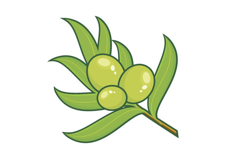 Green Olive Branch Vector. Green olives vector illustration. Green olives isolated on white background. Olive icon vectorのイラスト素材
