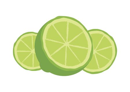 Green lime icon vector. Vector Illustration Keywords: Lemon isolated on white background. Lemon slice icon. Green lime vectorのイラスト素材