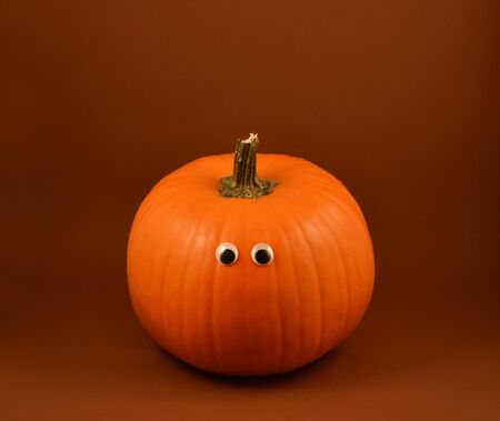 Halloween pumpkin. Halloween pumpkin. Cute halloween pumpkinの写真素材