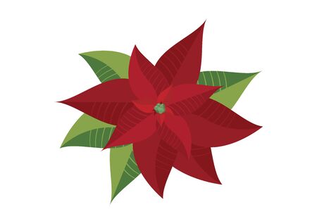 Christmas red poinsettia vector. Poinsettia isolated on a white background. Beautiful red flower iconのイラスト素材