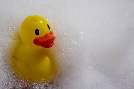 Yellow rubber duck stock photography Bath with foam images. Bath with duck. Yellow plastic duck stock photographyの写真素材