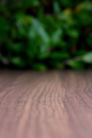 Wooden background with green flower stock photography Wood background with copy space for text....