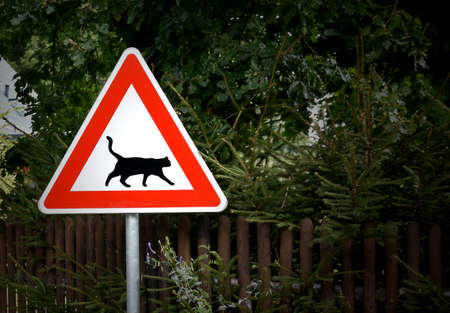 Red triangular road sign warning cats stock images. Cat crossing warning sign stock photo. Cat caution road sign imagesの写真素材
