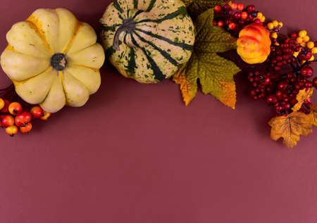 Autumn decoration on a brown background frame stock images. Autumn decoration with pumpkins top...