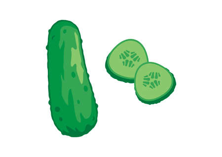 Gherkin cucumber icon vector. Green cucumber slices icon vector. Pickled cucumber vector. Gherkin green cucumber icon isolated on a white backgroundのイラスト素材