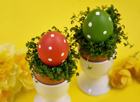 Polka dot easter eggs with watercress decoration stock images. Easter decoration with eggs and...