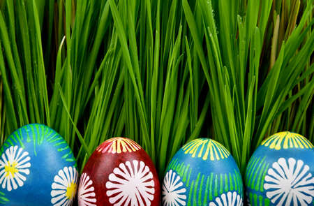 Fresh green grass with hand painted easter eggs in a row stock images. Easter decoration with...