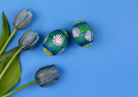 Beautiful hand painted easter eggs with blue tulips top view stock images. Easter colored eggs isolated on a blue background with copy space for text stock photo. Traditional easter unique eggs imagesの写真素材
