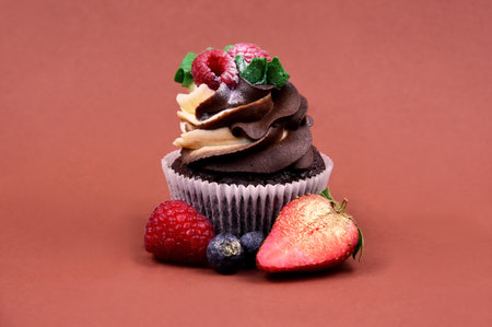 One chocolate vanilla cupcake with raspberries still life stock images. Delicious creamy cupcake with fruit isolated on a brown background photo. Fresh cupcake with berries stock imagesの写真素材