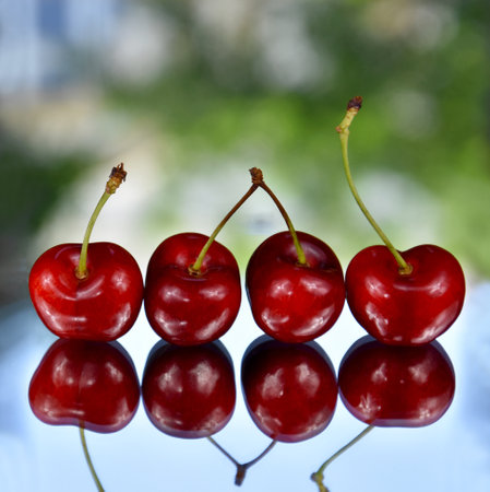 Fresh red cherries in a row on a green background stock images. Sweet cherry fruit berries photo images. Ripe cherries reflection imagesの写真素材