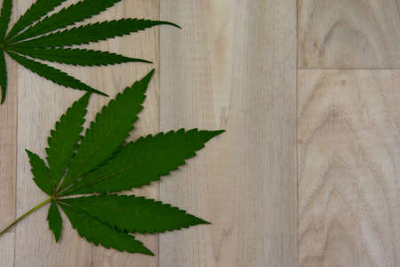 Cannabis leaves isolated on a wooden background top view stock images. Green marijuana cannabis leaves stock photo. Hemp leaves frame stock imagesの写真素材