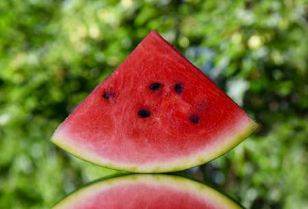 Juicy slice of red watermelon on a bright green background stock images. Piece of ripe watermelon on...