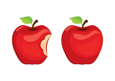 Whole apple and bitten red apple fruit icon vector. Red apples fruit icon set isolated on a white backgroundのイラスト素材