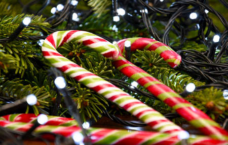 Candy cane with spruce twig and light Christmas garland stock images. Candy cane stick and christmas...