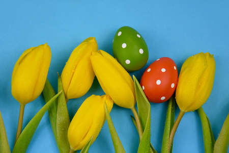 Yellow tulips with easter eggs stock images. Yellow tulips with easter eggs on a blue background...