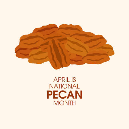 April is National Pecan Month vector. Pile of pecan nuts icon vector. Healthy snack pecan halves vector illustrationのイラスト素材