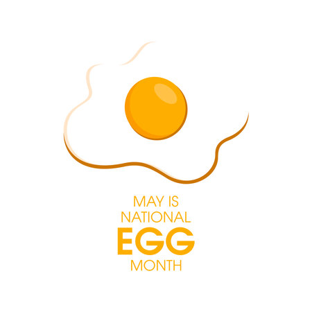 May is National Egg Month vector. Sunny side up fried egg vector icon isolated on a white background. Important dayのイラスト素材